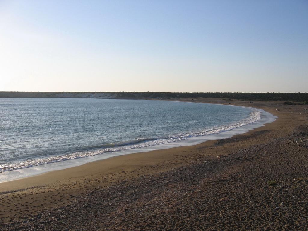 Paphos Love Nest Apartment Rum bild