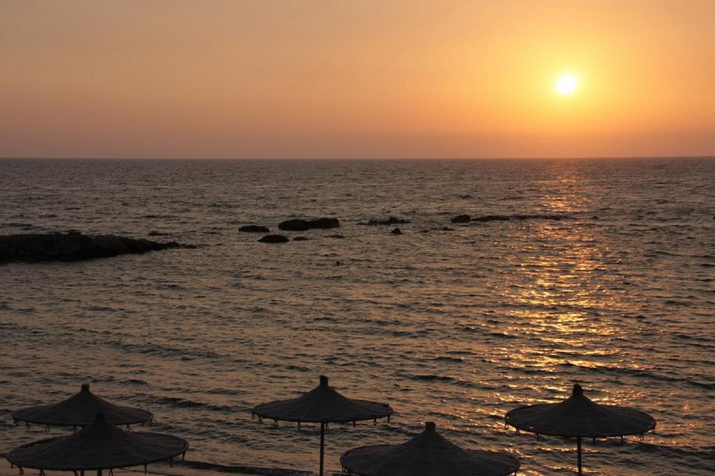 Paphos Love Nest Apartment Rum bild